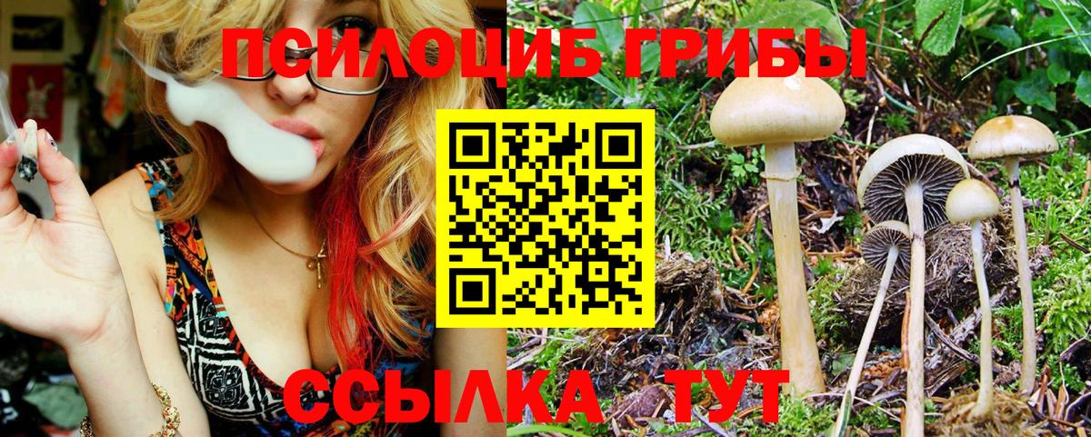 Галлюциногенные грибы MAGIC MUSHROOMS  Псилоцибиновые грибы мухоморы  магазин    Вход с VPN  Королёв 